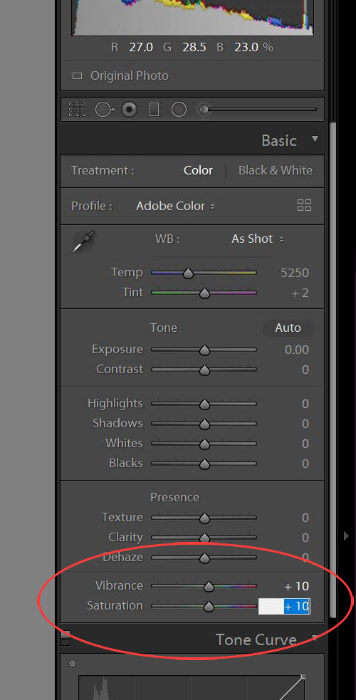 Lightroom CC Classic Develop Sliders Saturation Vibrance 2