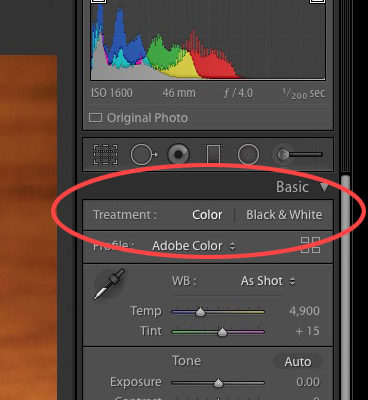 Lightroom Treatment Mode Color Black and White