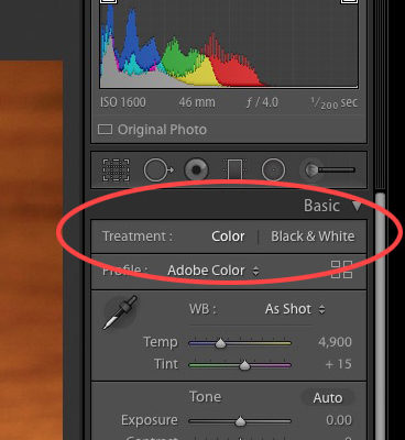 Lightroom Treatment Mode Color Black and White