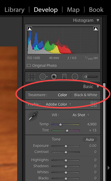 Lightroom Treatment Mode Color Black and White