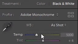 Adobe Monochrome Profile