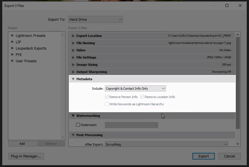 Here weve chosen 22Copyright Only22 under the Metadata settings in Lightroom for exporting to Instagram and Facebook