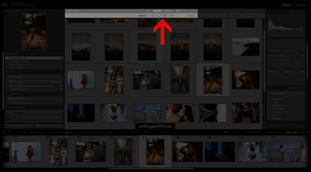 Unpicked Attribute Flag Filter in Lightroom