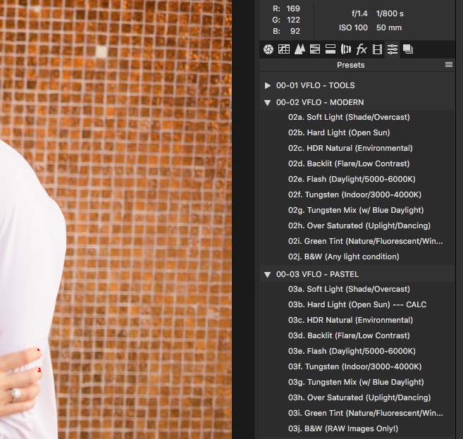 lightroom presets vs camera raw