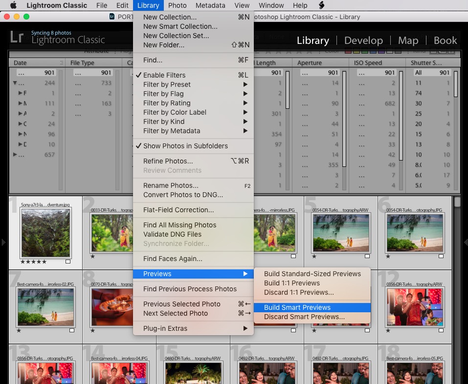 lightroom previews catalog system presets