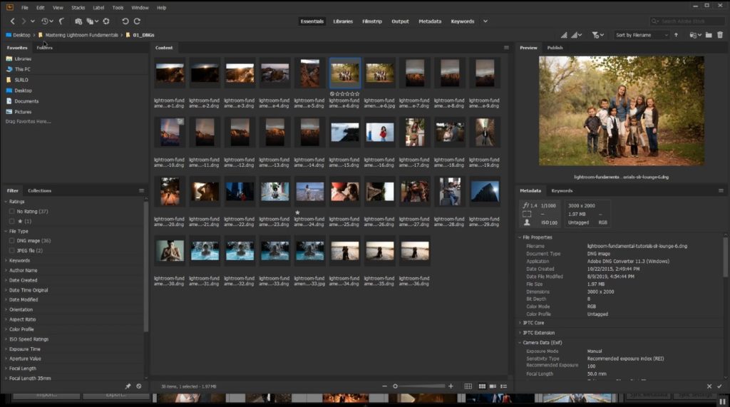 lightroom vs camera raw bridge adobe photoshop browser