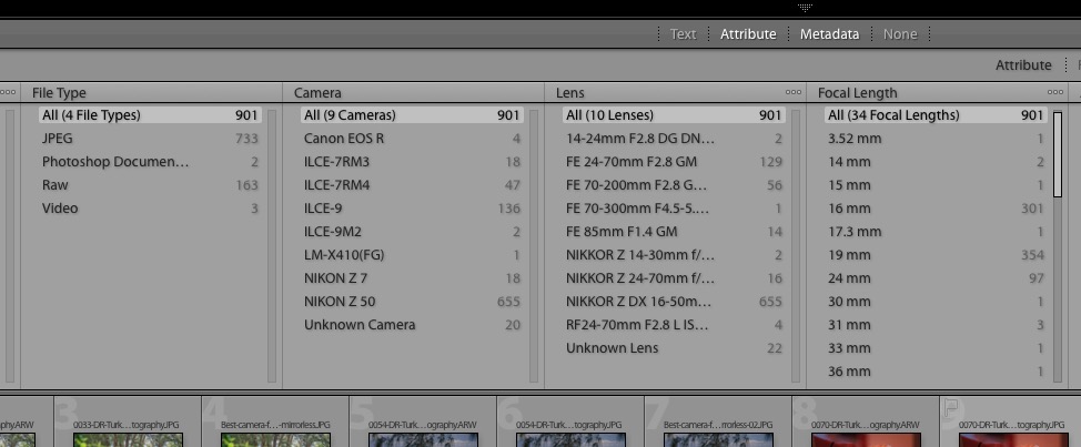 lightroom vs camera raw bridge adobe photoshop lr library filters