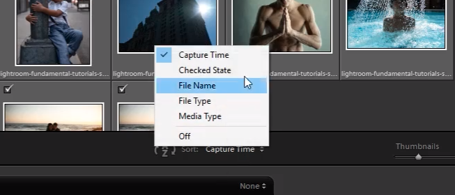 A filter dropdown menu will allow you to sort images