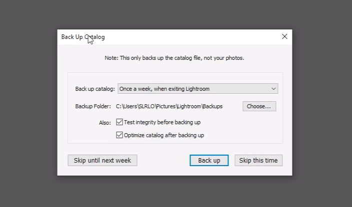 Back up catalog dialog box in Lightroom