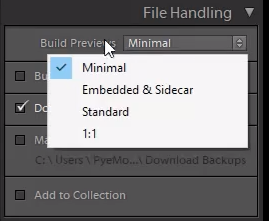 Build Previews set to Minimal in Lightroom