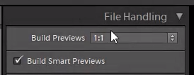 Build Smart Previews selected in Lightroom