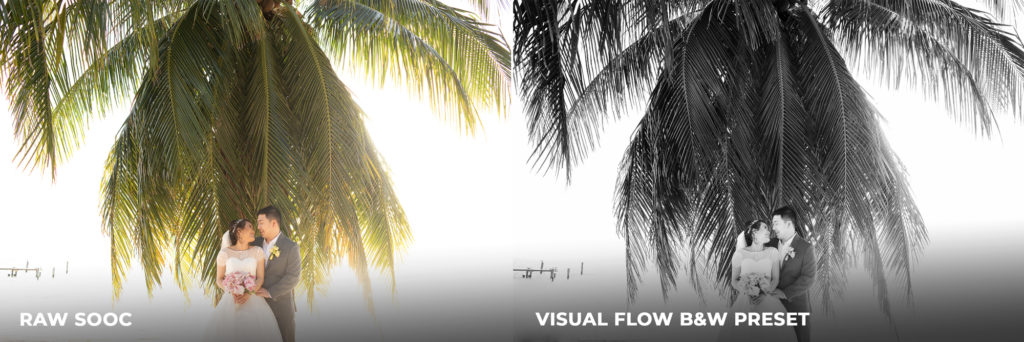 CITLALLI rico visual flow presets