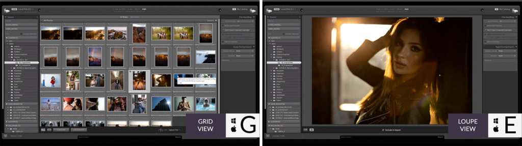 loupe vs grid view in lightroom