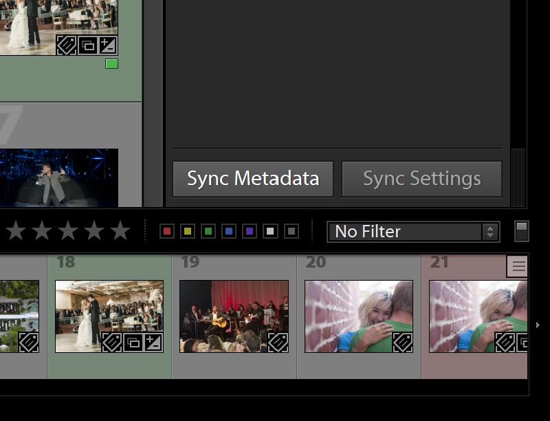 Lightroom Grid Loupe Module Sync Settings Metadata