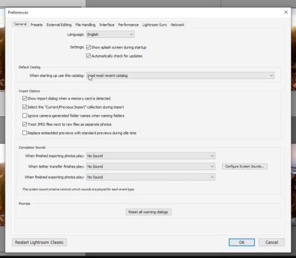 Lightroom Preferences Dialog Box