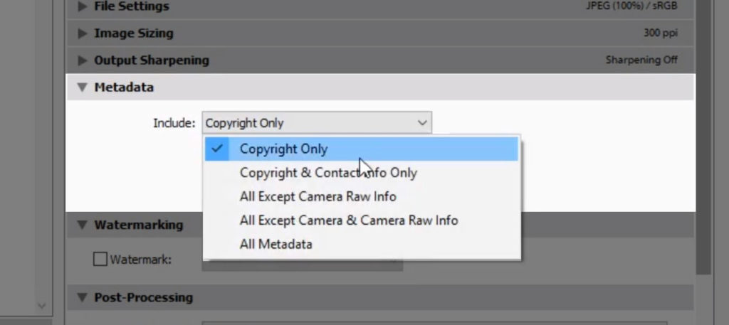 Lightroom copyright export settings for print copy 07