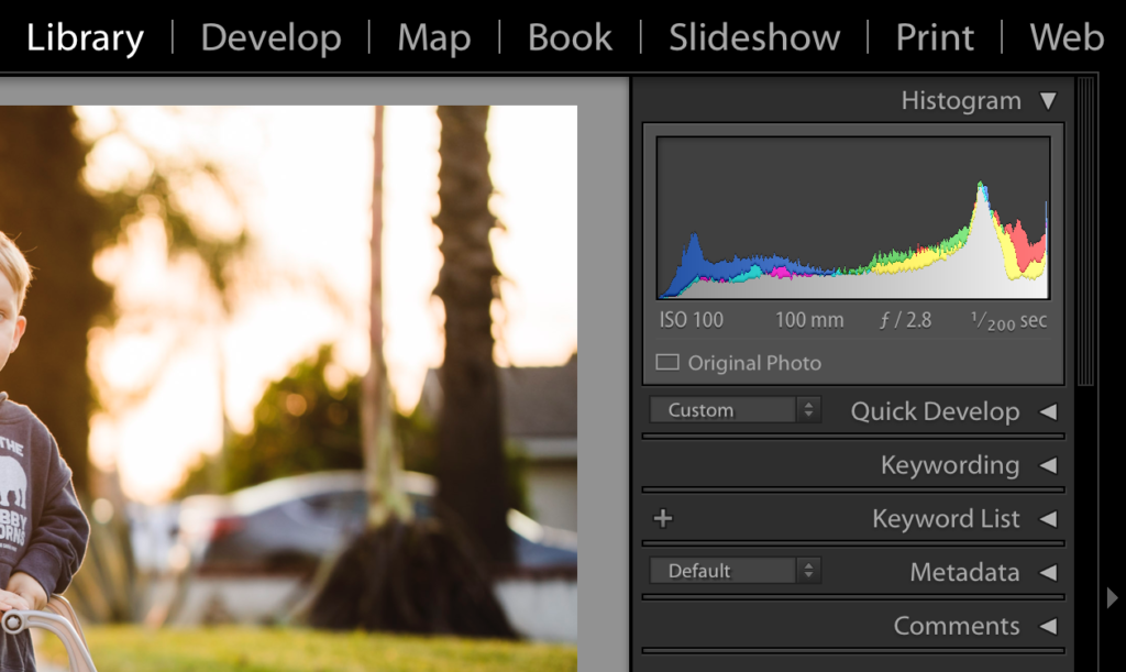 Lightroom Library tools right panel
