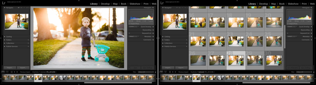 Lightroom library grid view loupe view