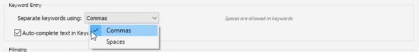 separate keywords by commas option in lightroom preferences