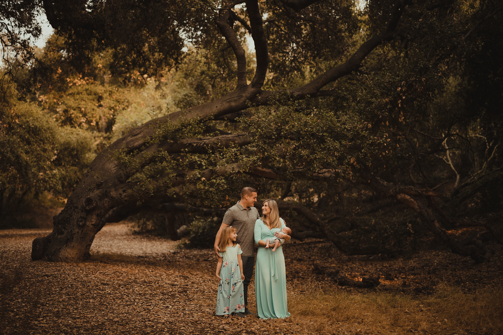 01 family photography lightroom presets