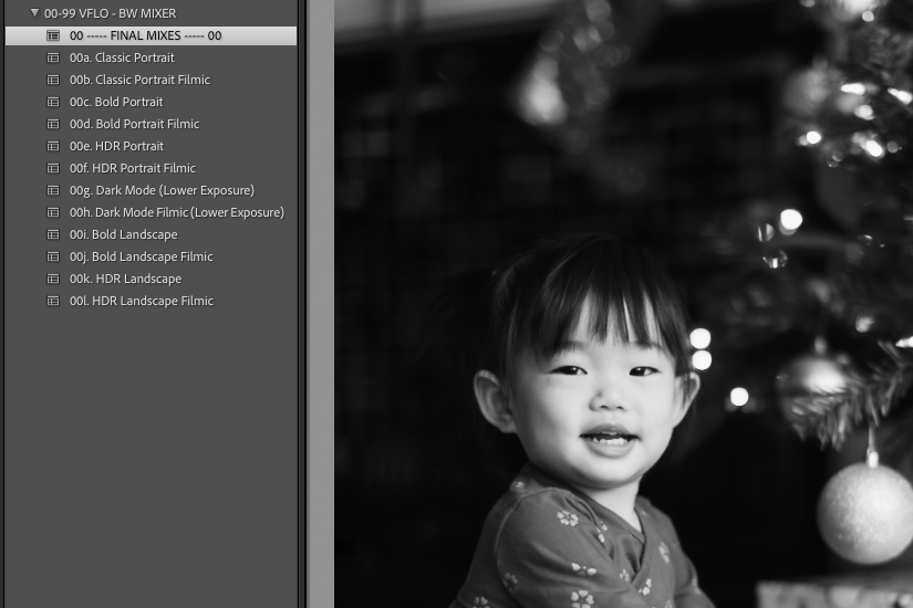 black and white lightroom presets final