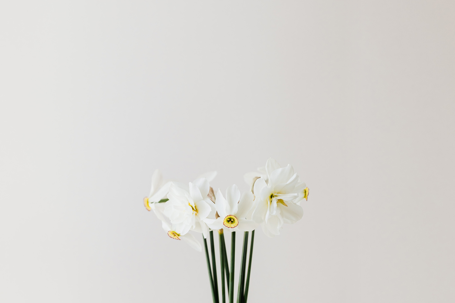 spring sale 1